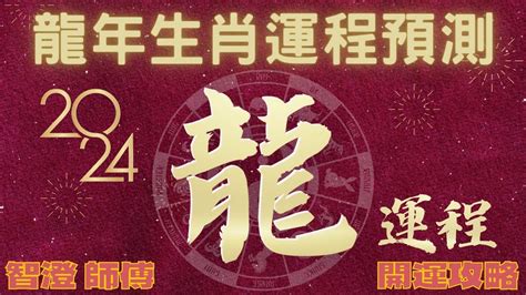 甲辰龍|2024龍年生肖運勢解析！屬兔先學會放下、屬羊需要安太歲、屬。